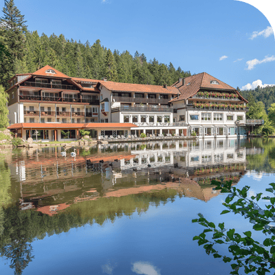 Langenwaldsee_Landingpage-1